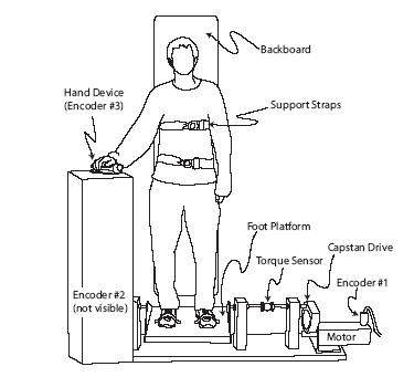 Lower Limb Haptic Device
