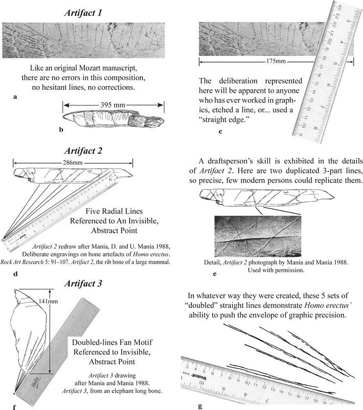 tn_Fig.1-feliks2006_h900.jpg