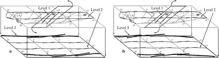 tn_Fig.11-feliks2006_h900.jpg