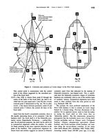 tn_fossils.p115.feliks1998.jpg