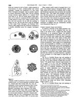 tn_fossils.p120.feliks1998.jpg