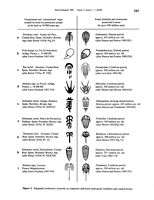 tn_fossils.p121.feliks1998.jpg