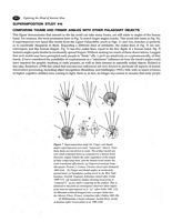tn_musings-p262-feliks06.jpg