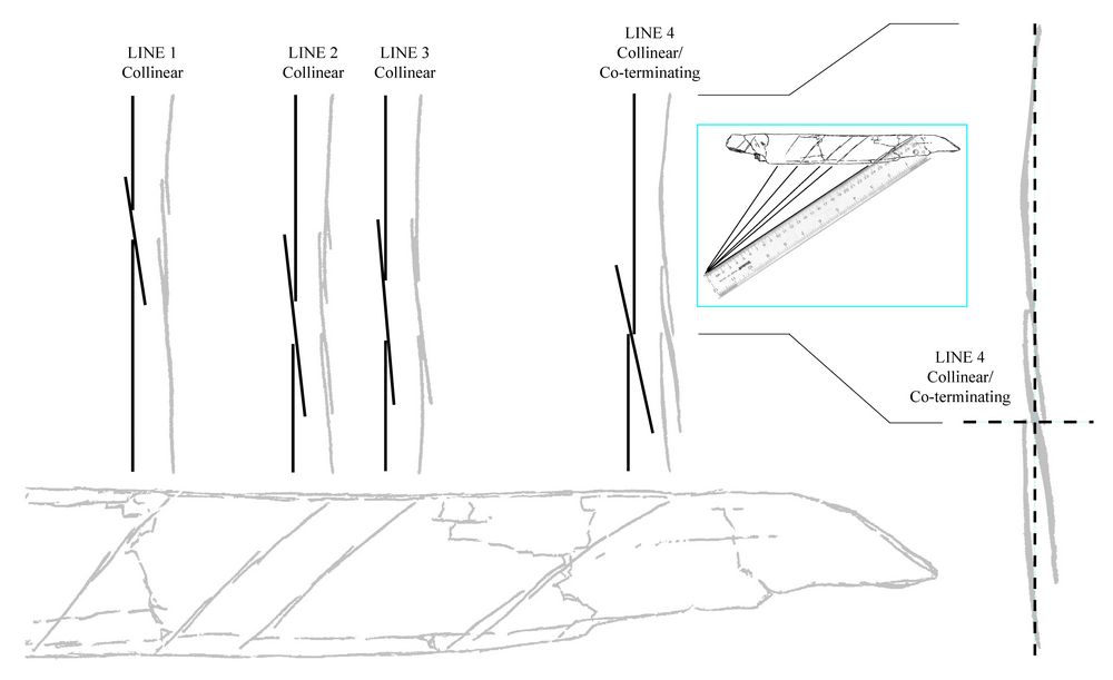 tn_Fig.1complete-for-html-vers_LowerPaleo-orig.advanced-math_tiff.jpg