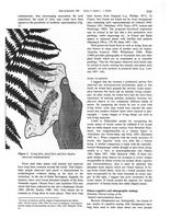 tn_fossils.p111.feliks1998.jpg