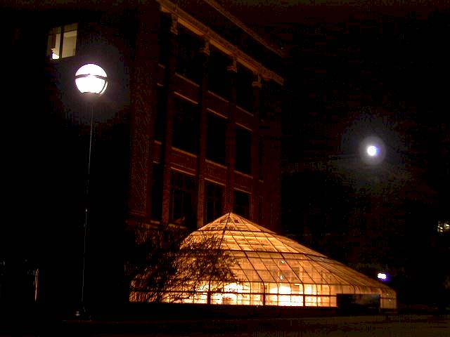 Dsc00010.jpg (29501 ???)