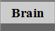 Brain