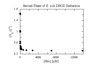 E. coli DHOD