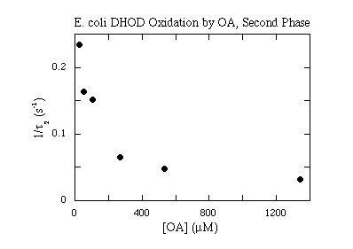 E. coli DHOD