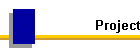 Project