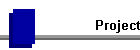 Project