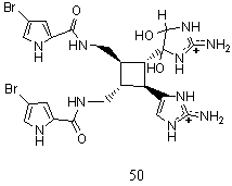 Dihydroxylated Sceptrin