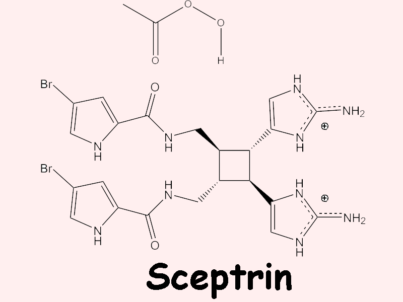 Synthesis of Oxysceptrin via Sceptrin