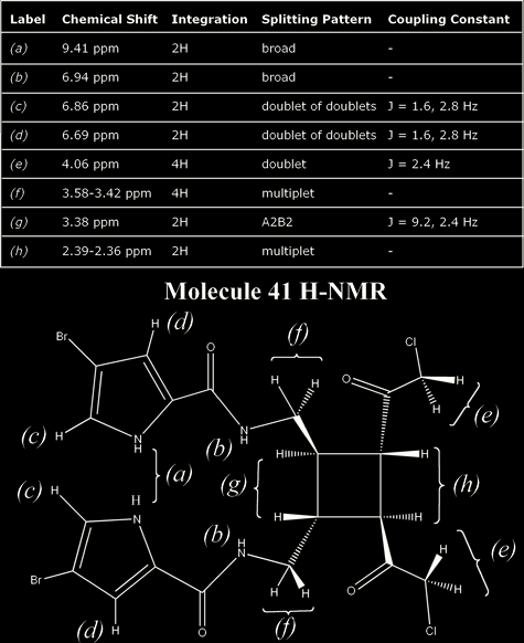 molecule41