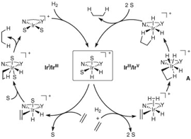 crabtree mechanis, circle