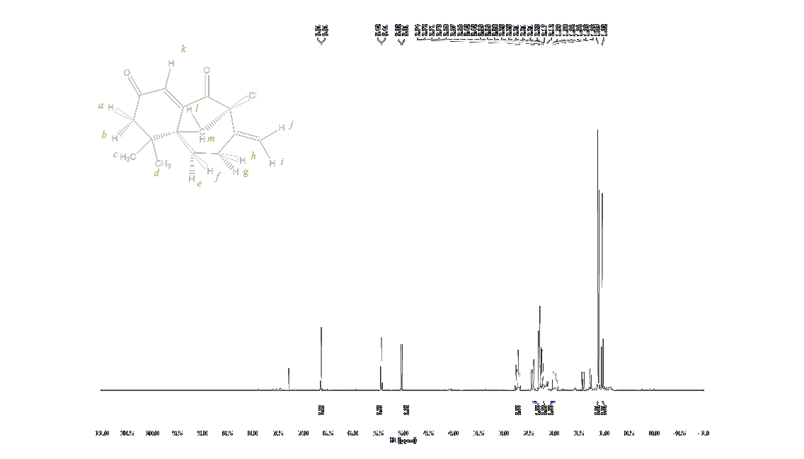 nmr19