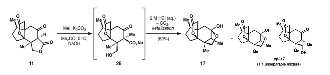 experiment procedure