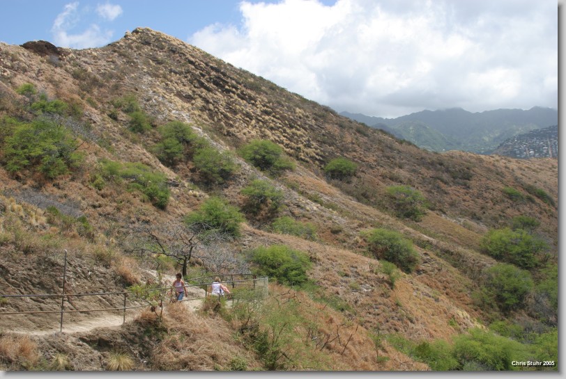 You have reached the last slide