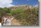 IMG_1774 * Path leading up Diamond Head.