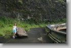 IMG_2168 * Boulder on a closed road in Nuuanu Pali State Park.