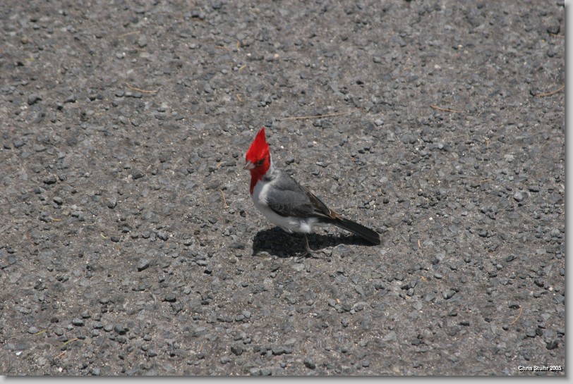 You have reached the last slide