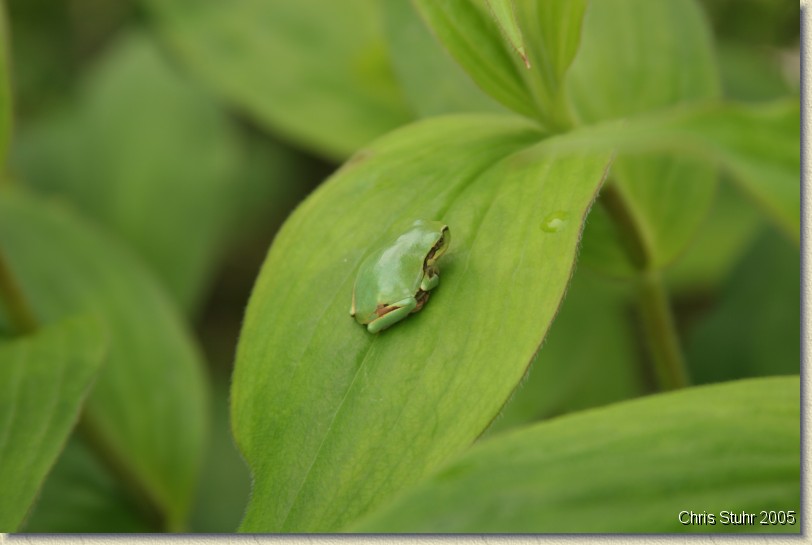 You have reached the last slide