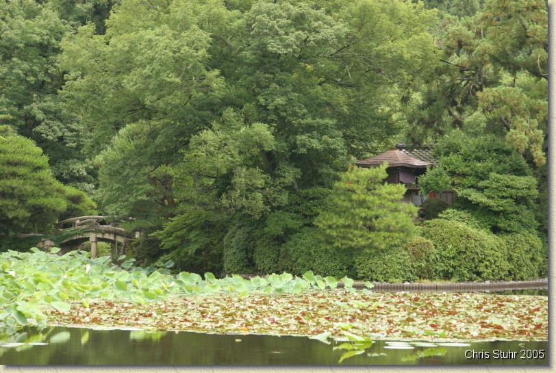 You have reached the last slide