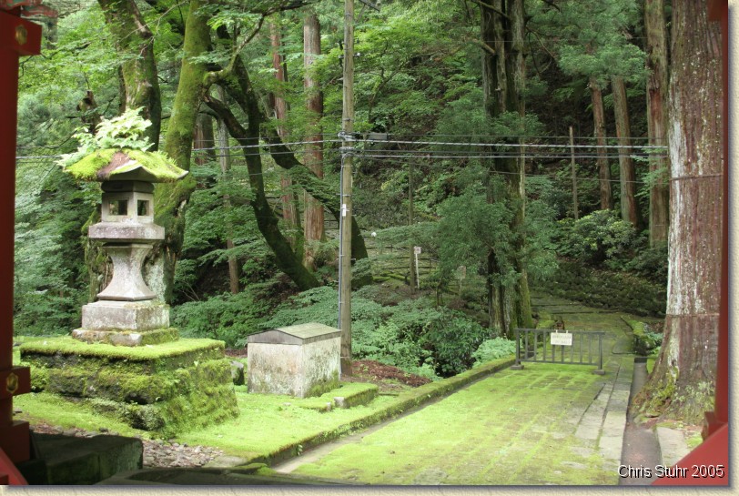 You have reached the last slide