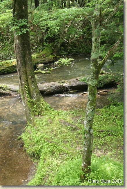 You have reached the last slide