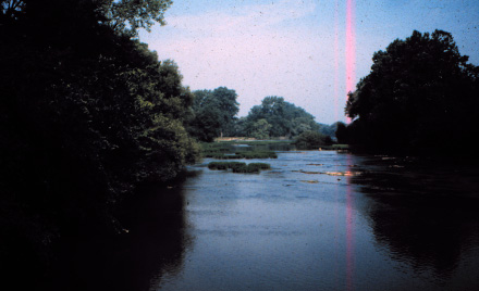 River Raisin