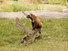 P8130115.JPG