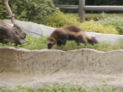 P8130144.JPG