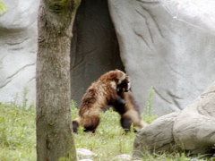 P8130143.JPG