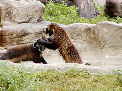 P8130140.JPG
