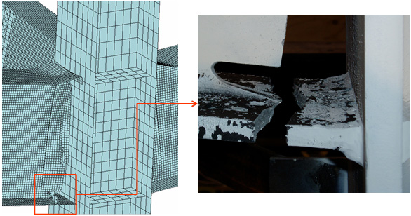 Figure 7: Comparison between experimental and model failure mode for WUF-W connection.