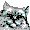 cat
icon