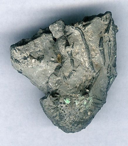 tn_Arthrocantha-crinoid_Devonian_Sylvania-Ohio_jfeliks_1200dpi+3cntrst+12brt.jpg