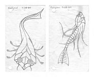 tn_k-r-sea-creatures-feliks1984.jpg