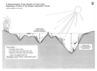 tn_troutlake-cross-section-feliks-errington1989.gif