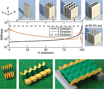 Cell Bridge Structural E. Filipov: Research