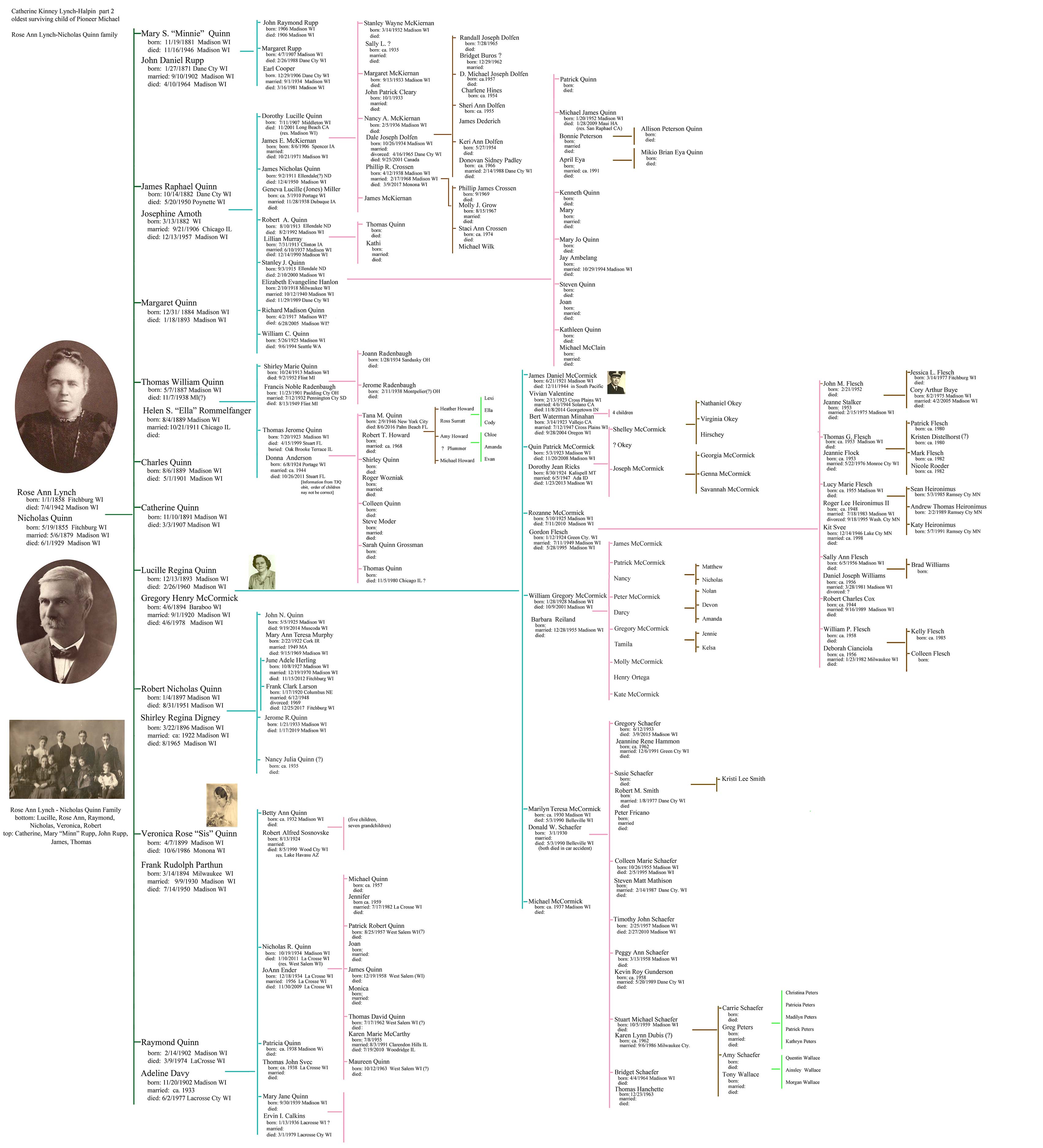 Michael Kinney  - Catherine Lynch family chart part 2, Rose Ann Lynch