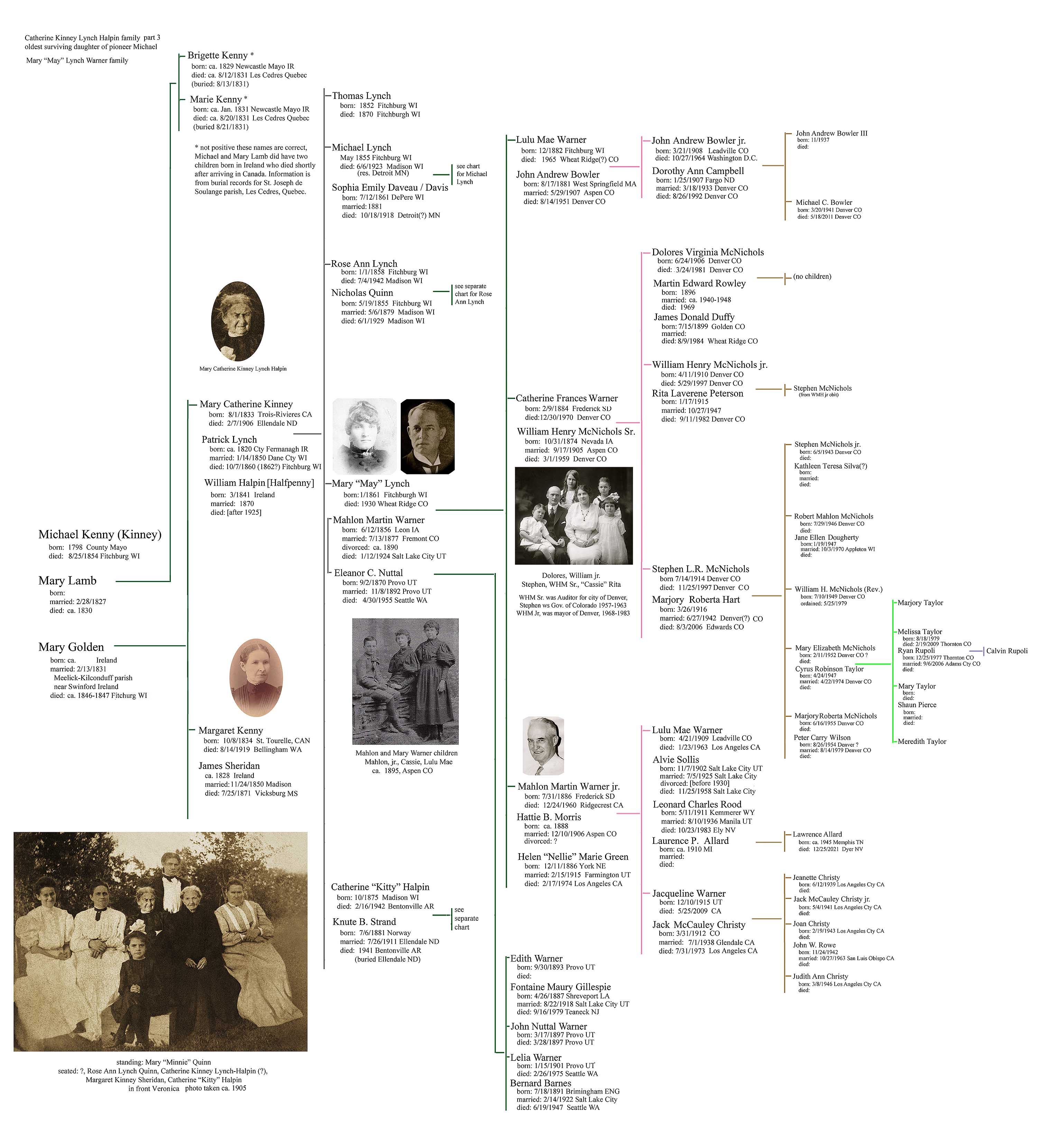 Michael Kinney  - Catherine Lynch family chart part 2, Mary Lynch Warner