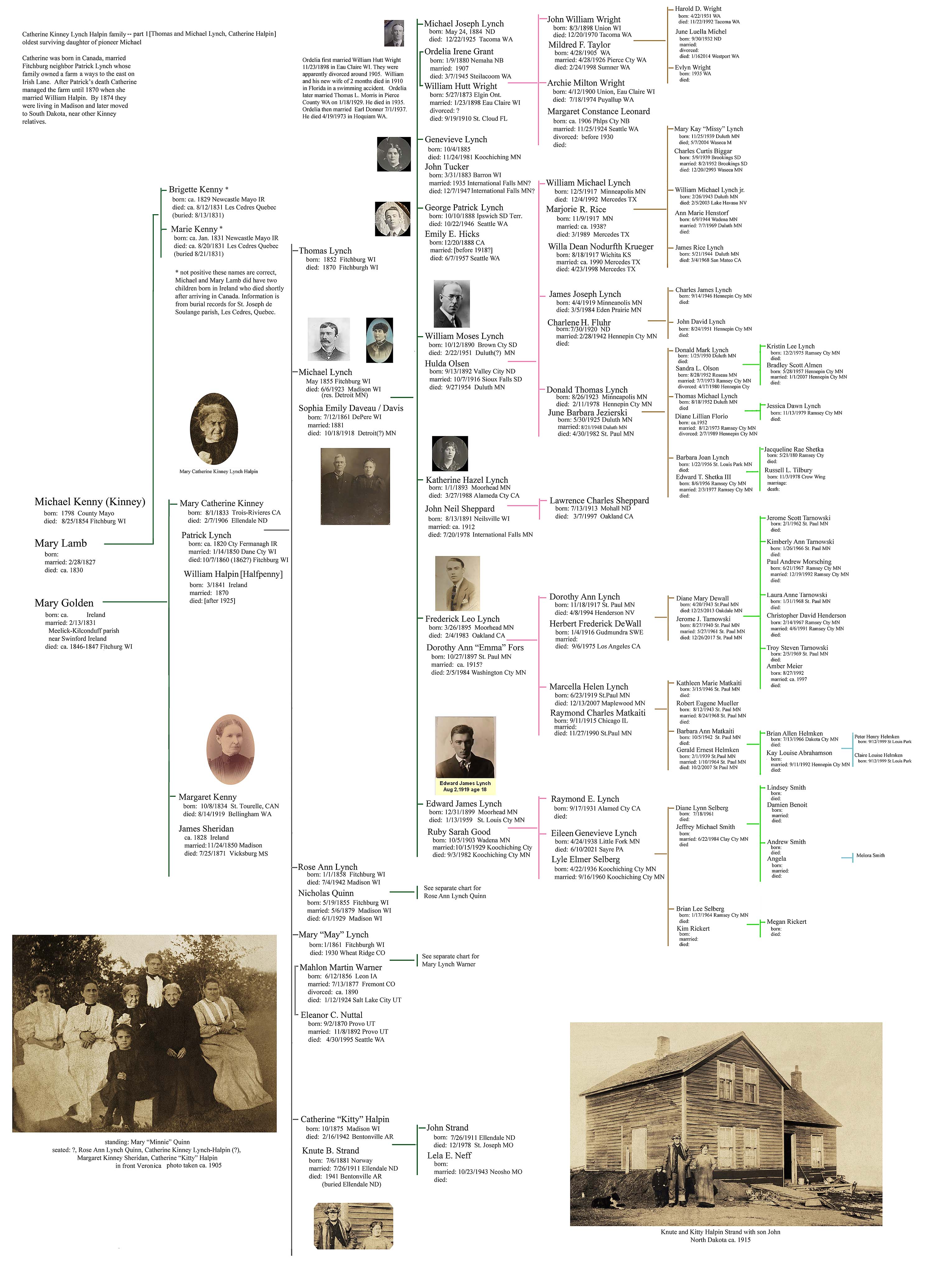 famlily chart Catherine Kiney Lynch-Halpin