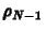 $\displaystyle \rho_{N-1}$