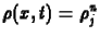 $\displaystyle \rho(x,t)= \rho_j^n$