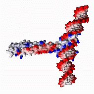 Kerppola Lab Online - Main/Research Page
