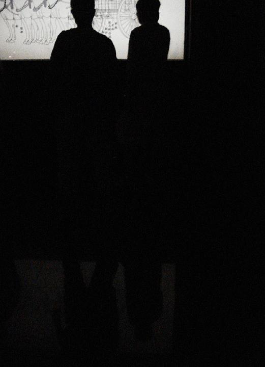 Blumenstein-shadow_soldiers
