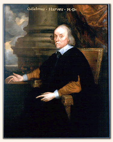 Pre-Vesalian Anatomy Theater