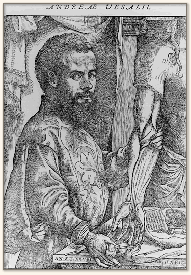 Pre-Vesalian Anatomy Theater