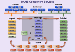 DAMS Bluesteam architecture